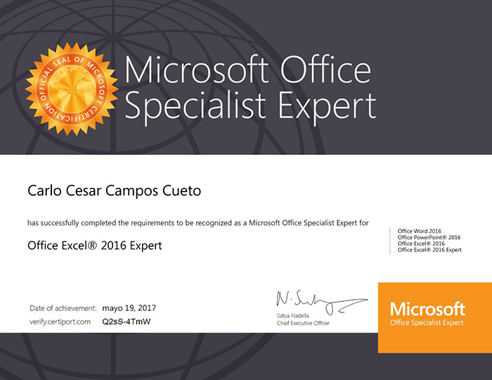 Certificado de Microsoft Office Excel 2019